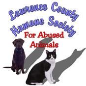 Thank you to Darlene for designing this beautiful logo