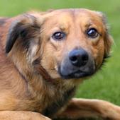 7&nbsp;Chase