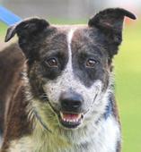 17&nbsp;Freckles